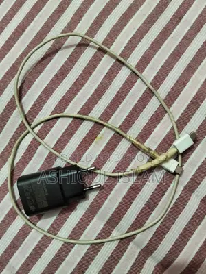 Samsung Original Charger and Cable