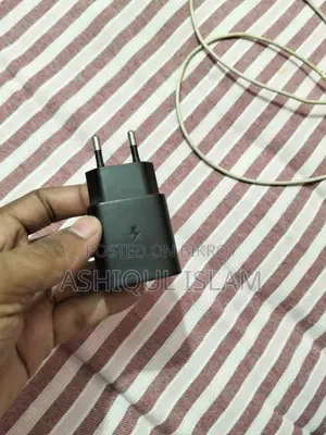 Samsung Original Charger and Cable