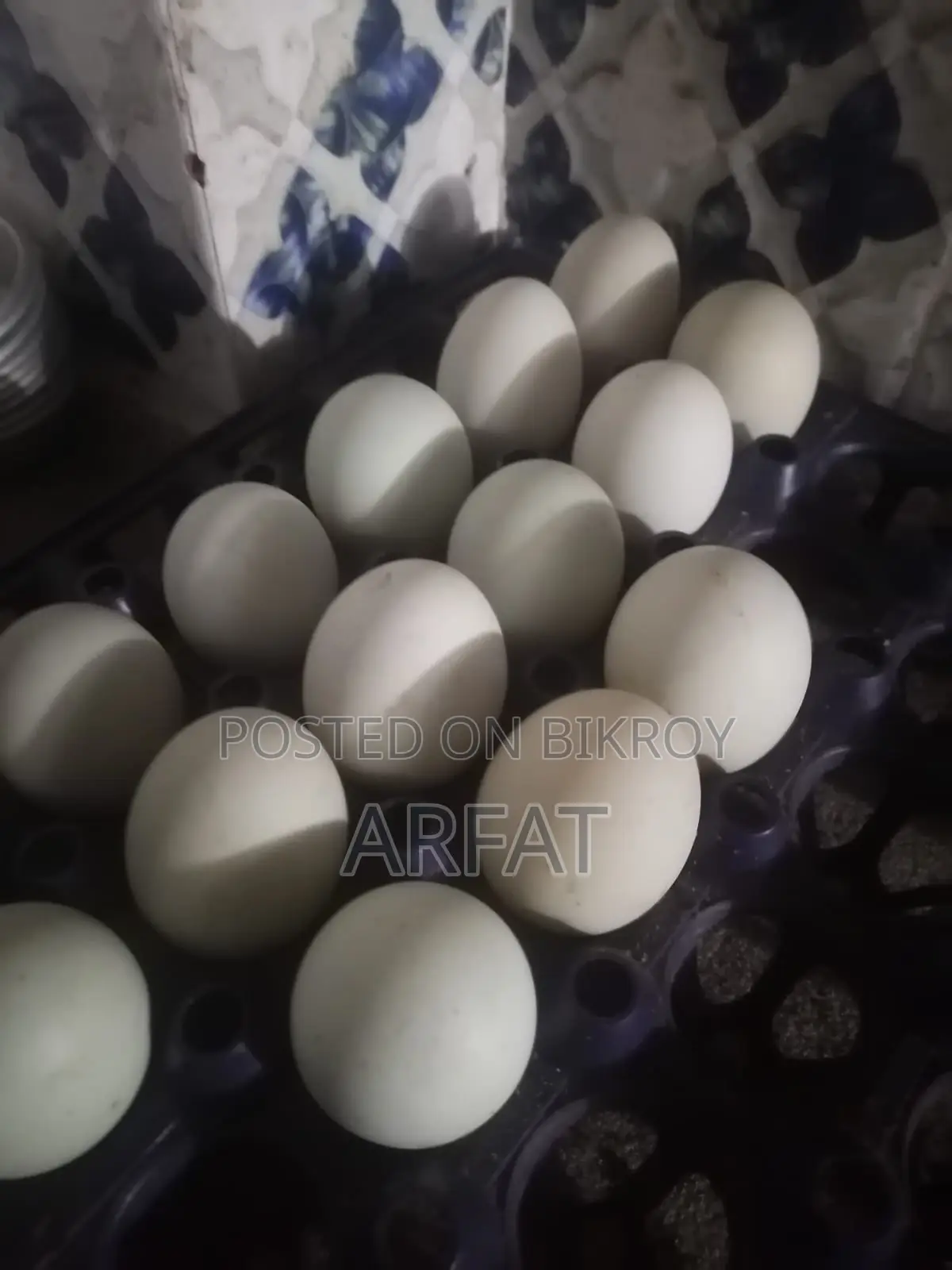 100% Fertile Native Duck Eggs for Sale