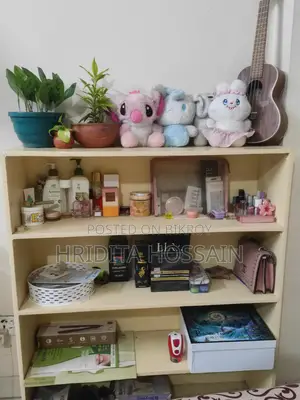 New Book Shelves