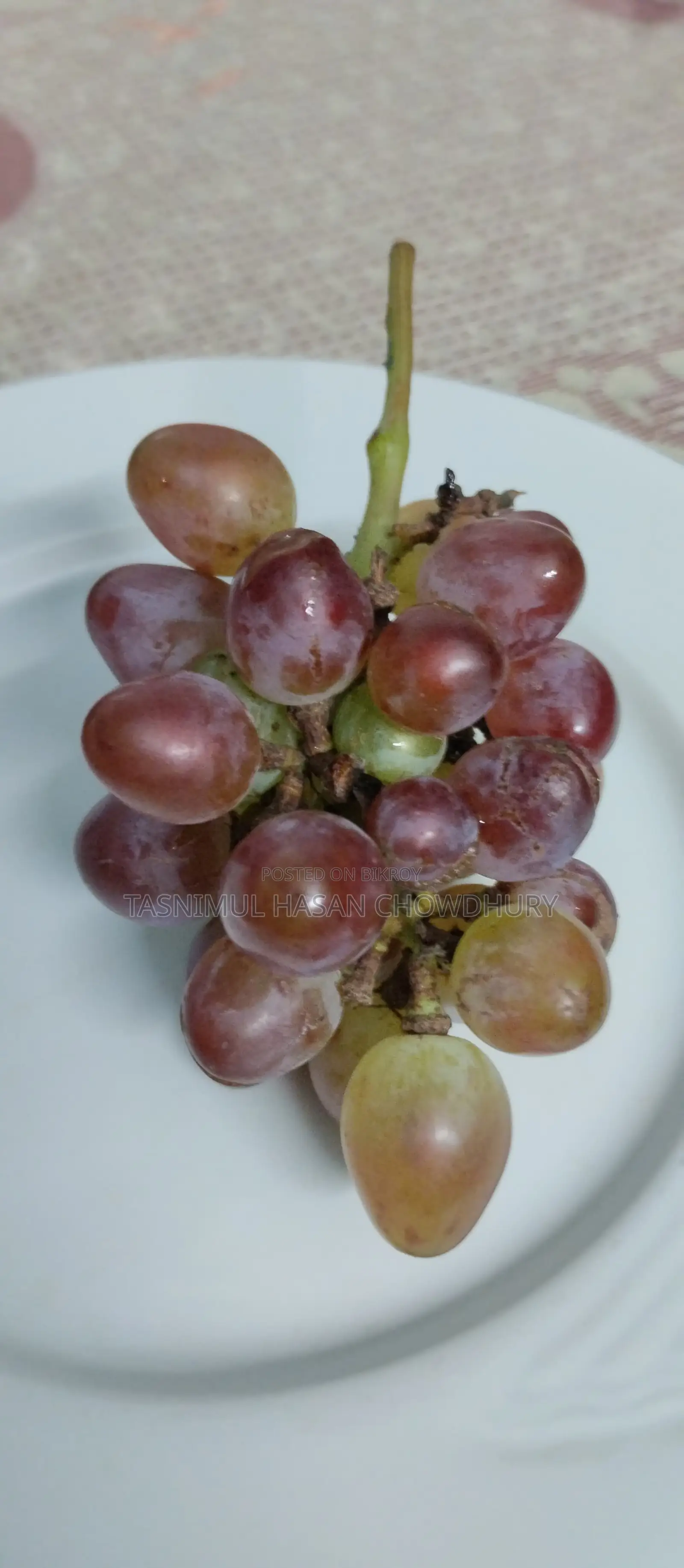 Baikonur (Sweet) Grape Sapling