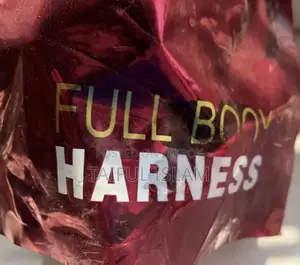 Full Body Harness