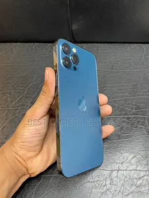 Apple iPhone 12 Pro Max (Used)