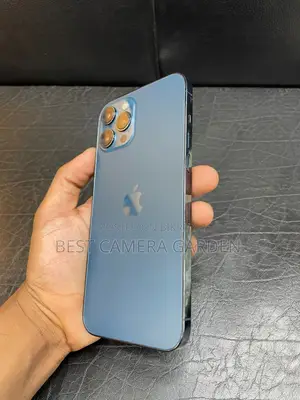 Apple iPhone 12 Pro Max (Used)