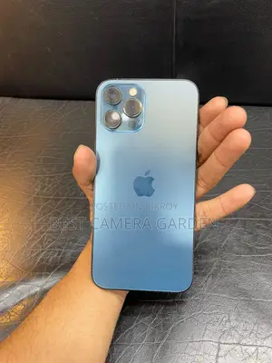 Apple iPhone 12 Pro Max (Used)