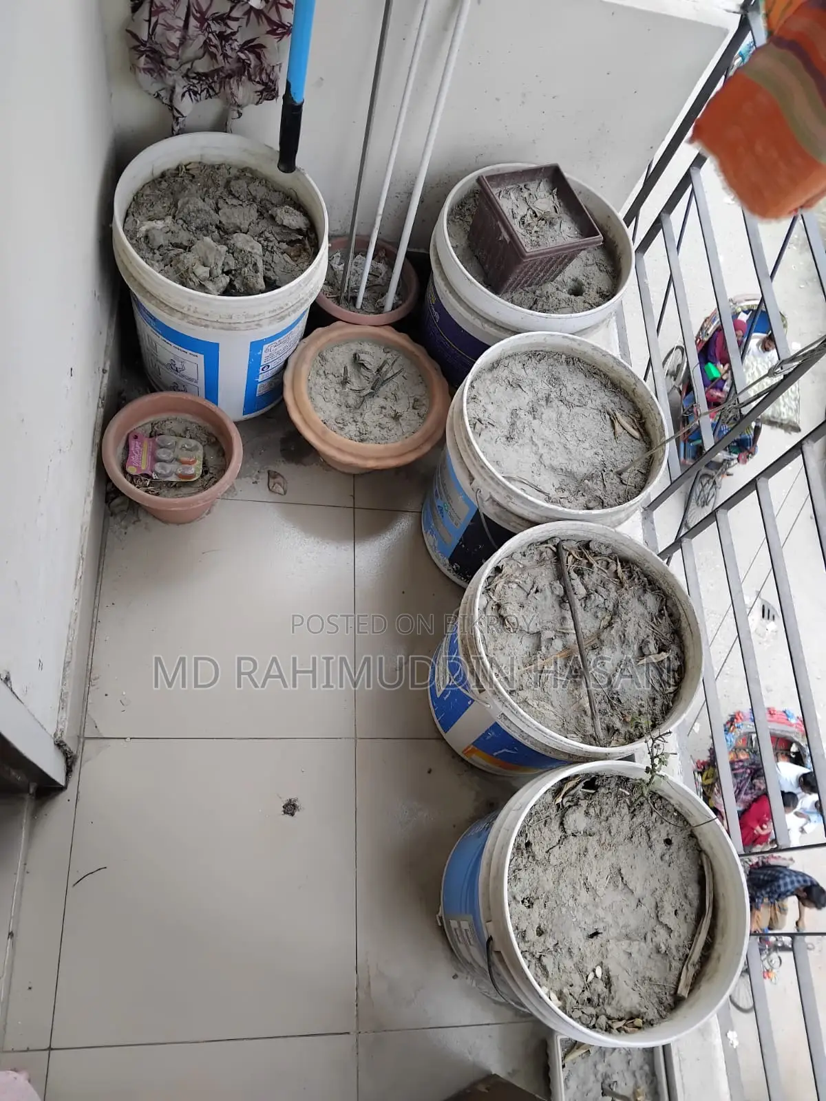 রঙের বালতি মাটিসহ বিক্রি হবে