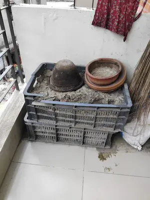 রঙের বালতি মাটিসহ বিক্রি হবে