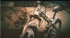 Bicycle for sale