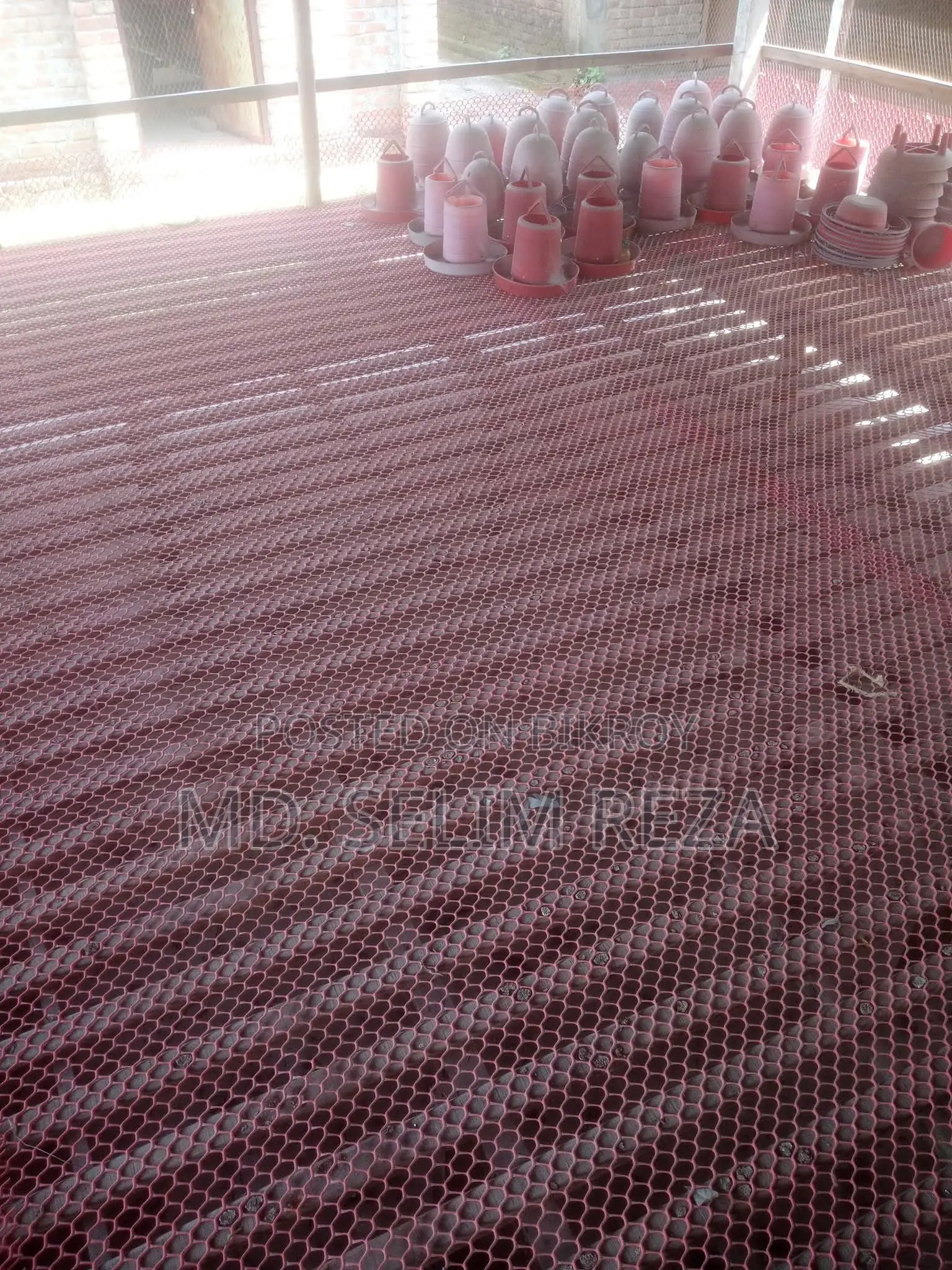 Six-foot high broiler chicken coop net for sale