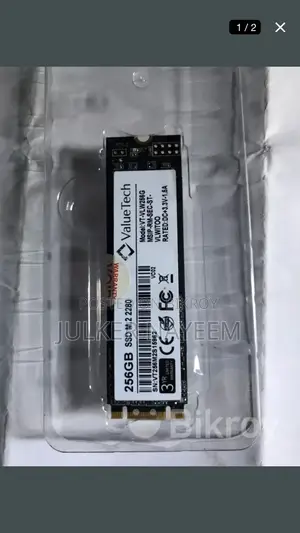 256GB M.2 SSD