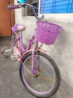Girls' Phoenix Bicycle