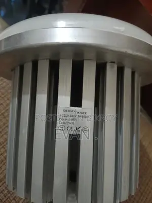 100 Watt Light Bulb for Commercial Purposes