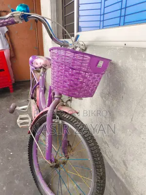 Girls' Phoenix Bicycle