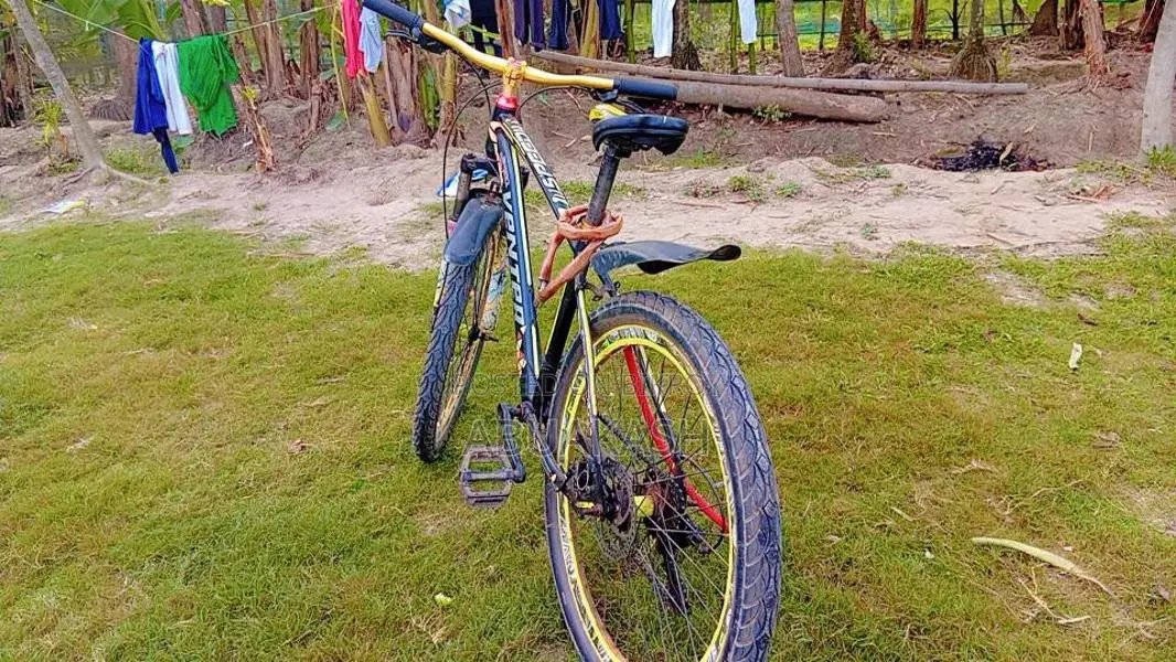 Bicycle for sale