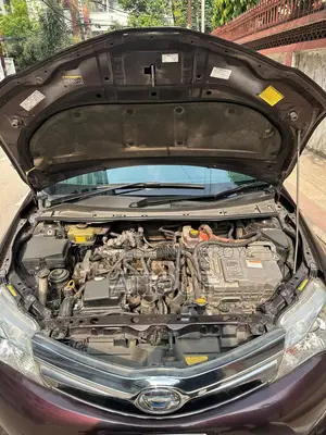 Toyota Axio 1.5 Hybrid 2WD 2014 Brown