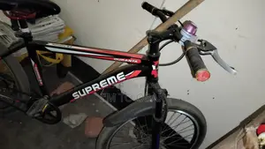 Selling My Bicycle