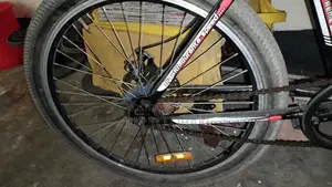 Selling My Bicycle
