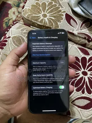 Apple iPhone 12 Pro (Used)