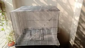 খাঁচার সাইজ ১৭/১৪/১৬