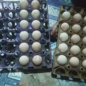 দেশি মুরগির ডিম।বীজ ডিম