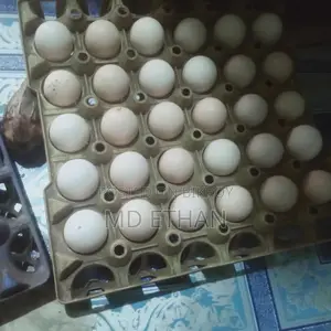 দেশি মুরগির ডিম।বীজ ডিম