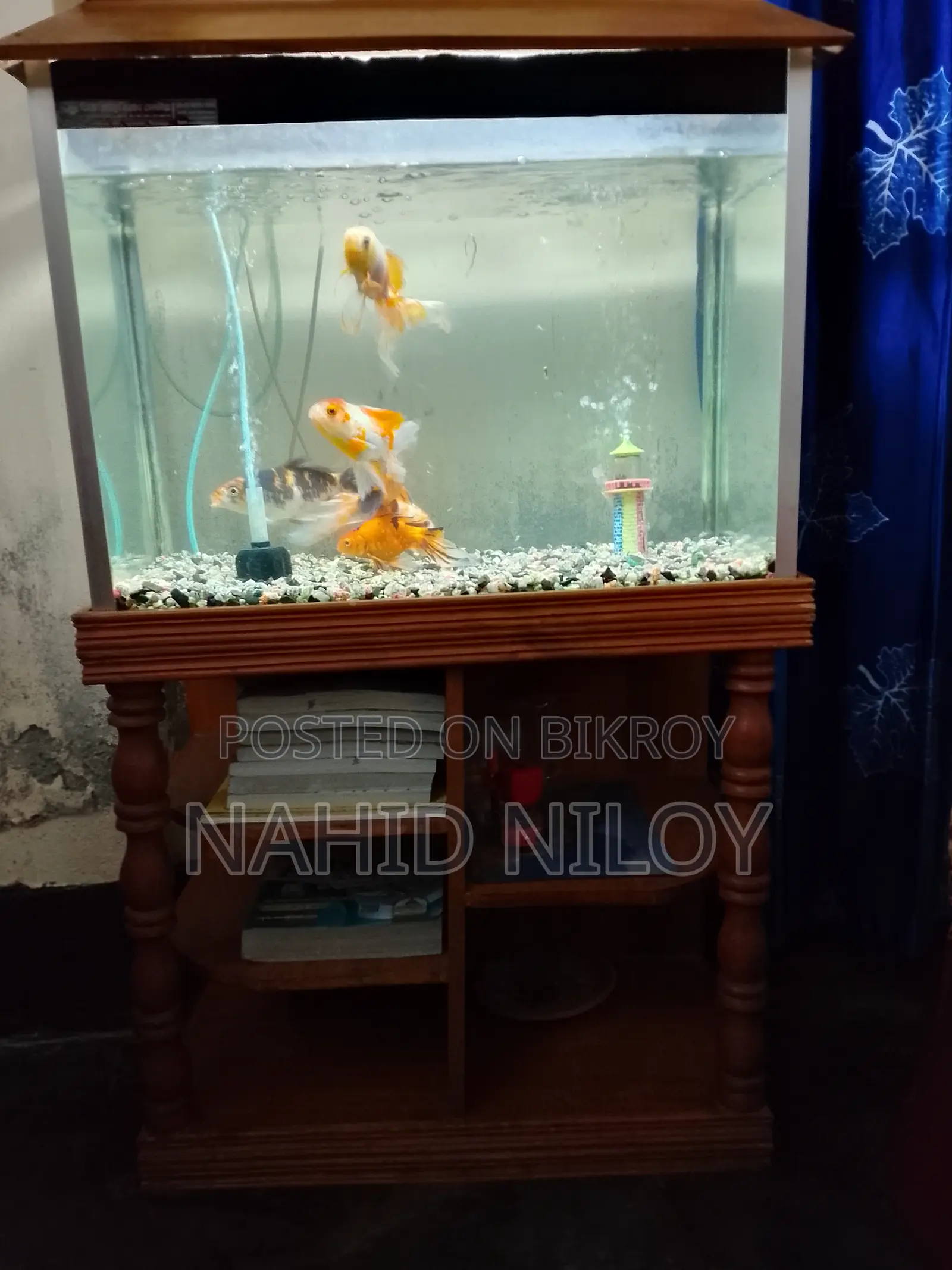 Fish Aquarium