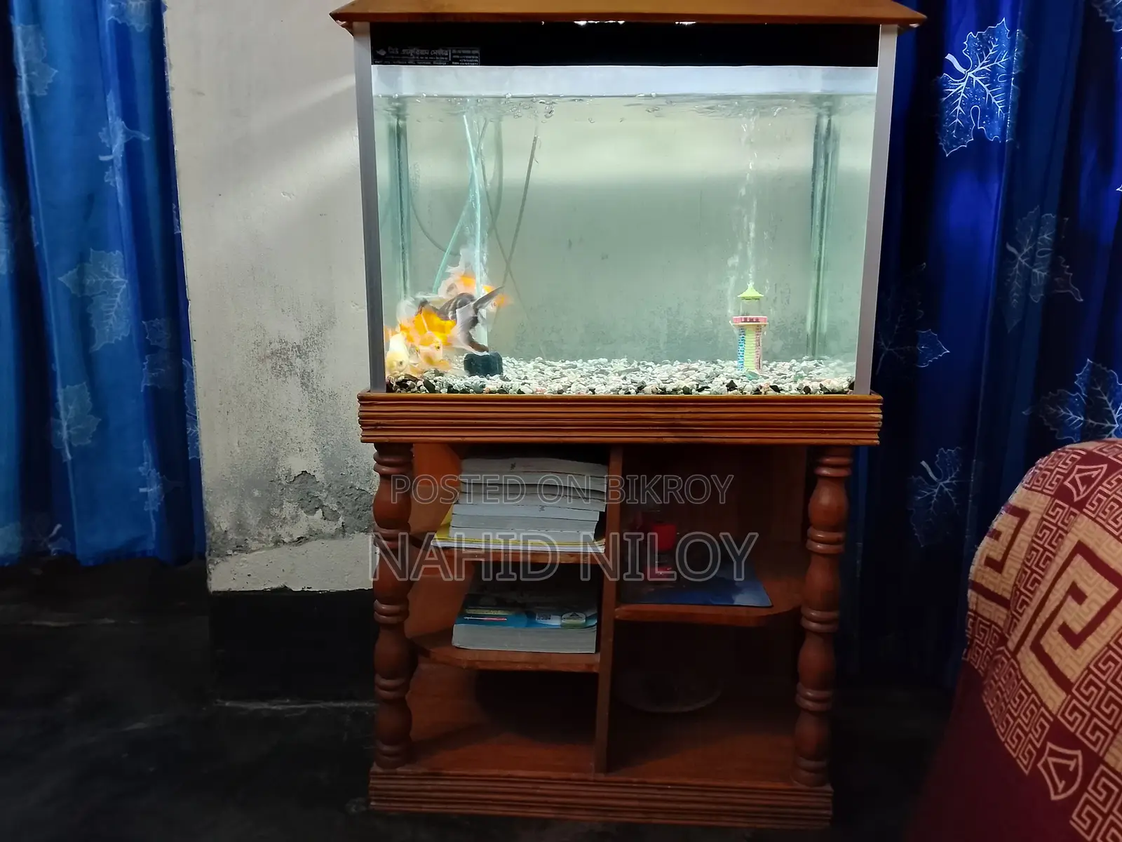 Fish Aquarium
