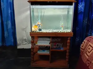 Fish Aquarium