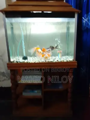Fish Aquarium