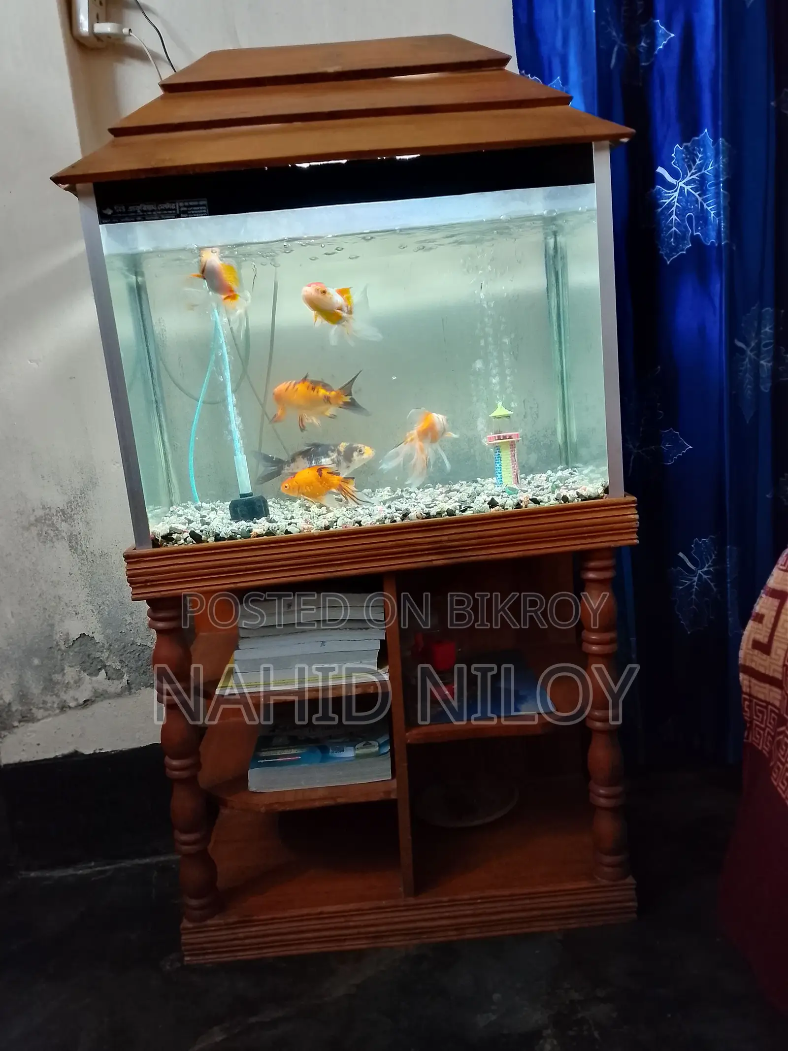 Fish Aquarium