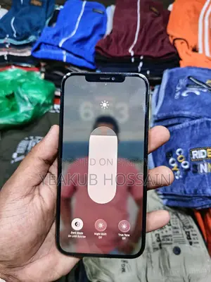 Apple iPhone 12 Pro Max (Used)