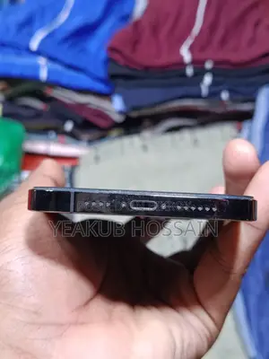 Apple iPhone 12 Pro Max (Used)