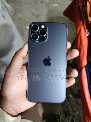 Apple iPhone 12 Pro Max (Used)