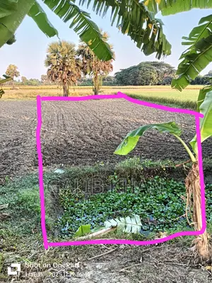 Gopalganj Muksudpur Dasher Hat 5.67 decimal land with road access