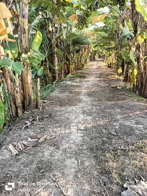 গোপালগঞ্জ মুকসুদপুর দাশের হাট ৫.৬৭ শতক রাস্তার সাথে জমি