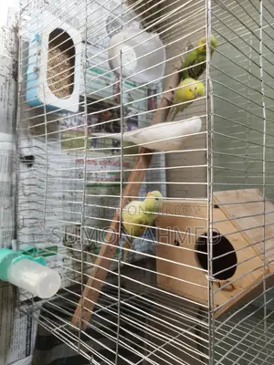 বাজ্রিগা বিক্রি