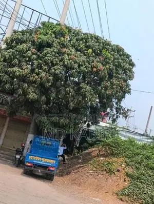 Suitable for Building a House