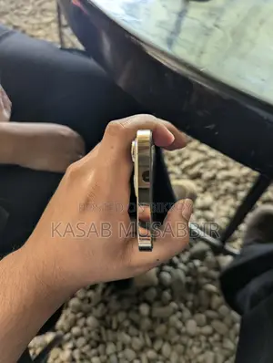 Apple iPhone 13 Pro (Used)
