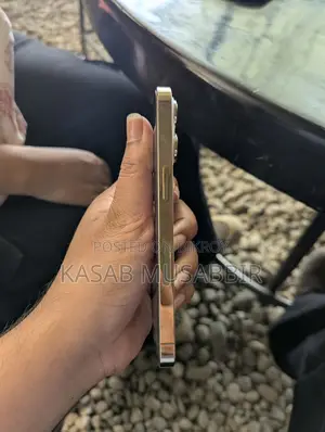 Apple iPhone 13 Pro (Used)