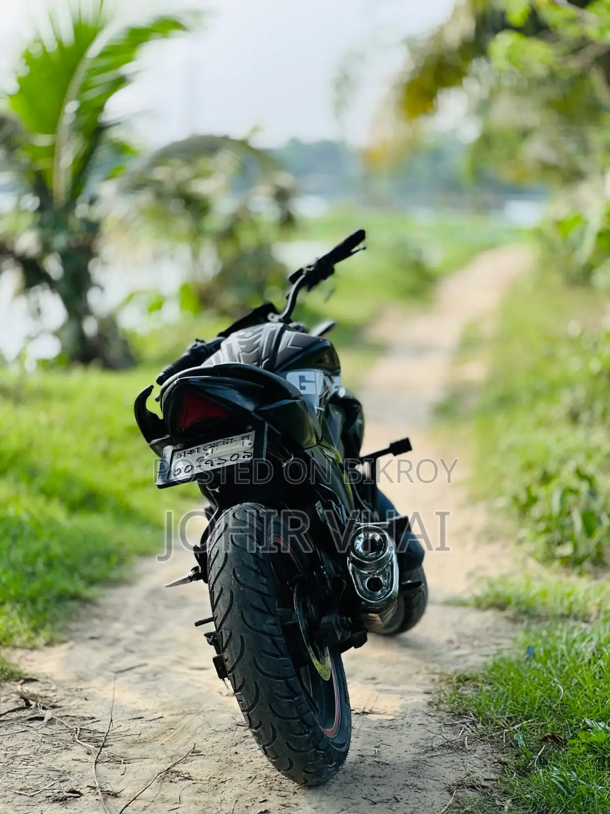 Suzuki Gixxer Monotone Fresh 2019