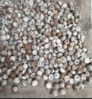 শুকনো সুপারি।