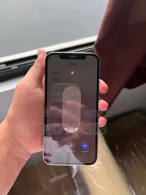 Apple iPhone 12 Pro 512 GB (Used)