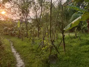 Land for Sale in Nathullabad Union, Jhalokathi District