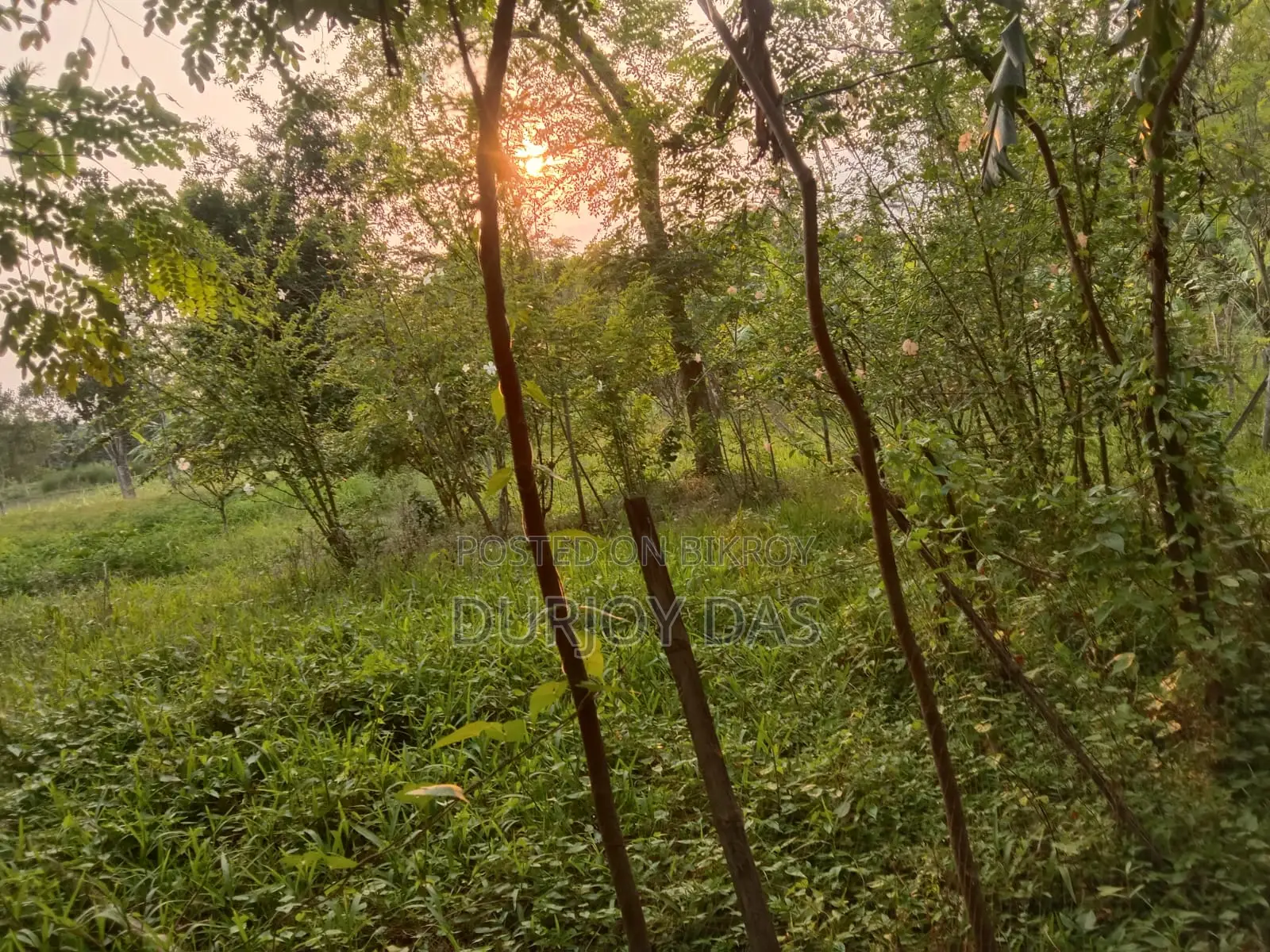Land for Sale in Nathullabad Union, Jhalokathi District