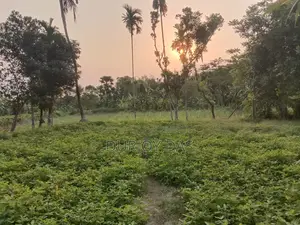 Land for Sale in Nathullabad Union, Jhalokathi District