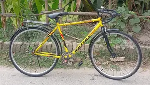 Non-Gear Bicycle