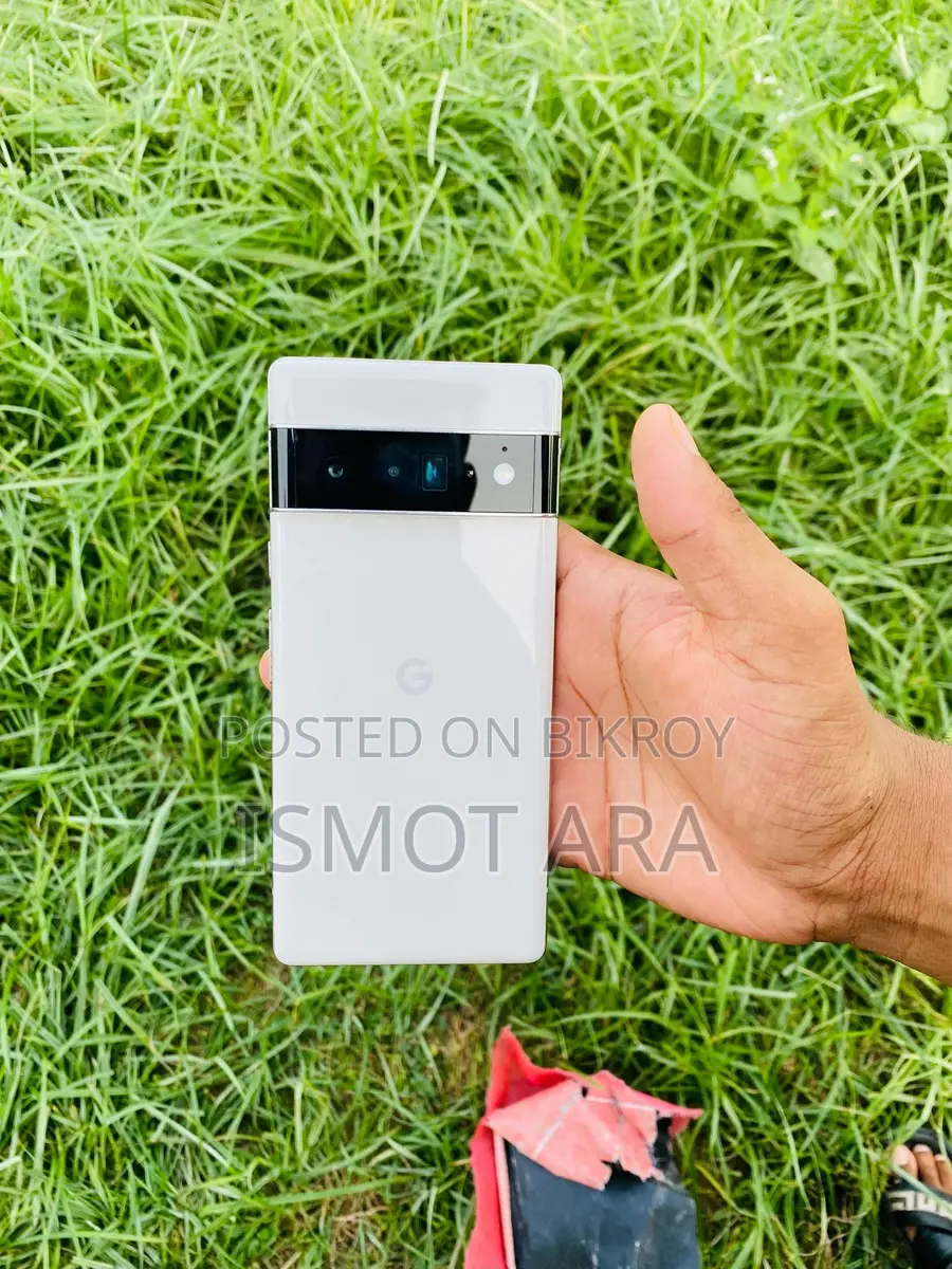 Google Pixel 6 Pro (ব্যবহৃত)