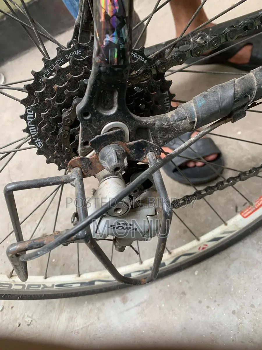 Road Bike