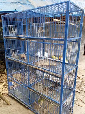 8-Compartment 3-Piece Cage