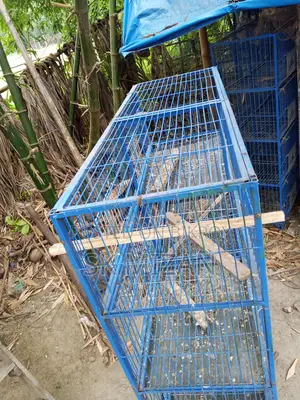 ৮ খোপওয়ালা ৩ পিচ খাঁচা